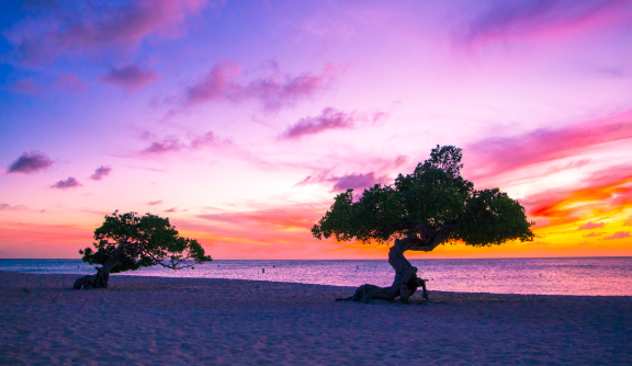 Aruba